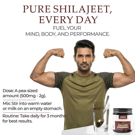 Nidco Shilajit Resin 100 Gm