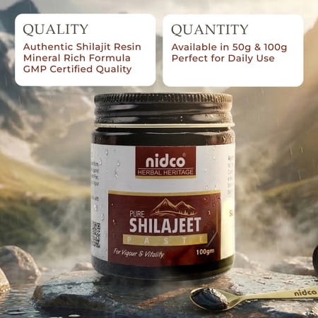Nidco Shilajit Resin 100 Gm