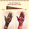 Neeta Mehendi Cones | Bridal Mehandi Cone Reddish Brown Color 12 Pcs In 1 Box (30Gm Each)
