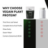 Man Matters Vegain Plant Protein Powder For Men | 24G Protein | Vit D & B12 | Gluten Free | 500G