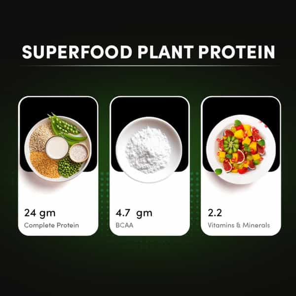 Man Matters Vegain Plant Protein Powder For Men | 24G Protein | Vit D & B12 | Gluten Free | 500G