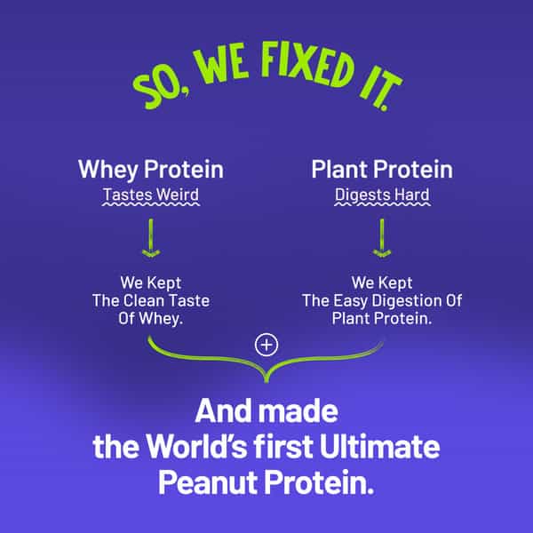 Alpino Supernatural Peanut Protein Powder Dark Chocolate Pouch 1 Kg