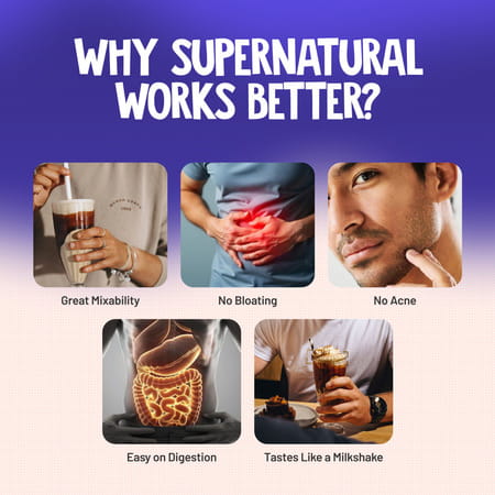 Alpino Supernatural Peanut Protein Powder Dark Chocolate Pouch 1 Kg