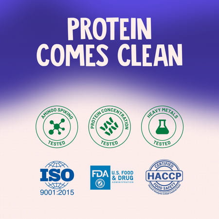 Alpino Supernatural Peanut Protein Powder Dark Chocolate Pouch 1 Kg