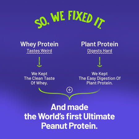 Alpino Supernatural Peanut Protein Powder Dark Chocolate Pouch 1 Kg