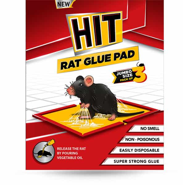 Godrej Hit Rat Glue Pad - Jumbo Pack Of 3