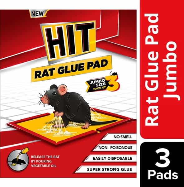 Godrej Hit Rat Glue Pad - Jumbo Pack Of 3