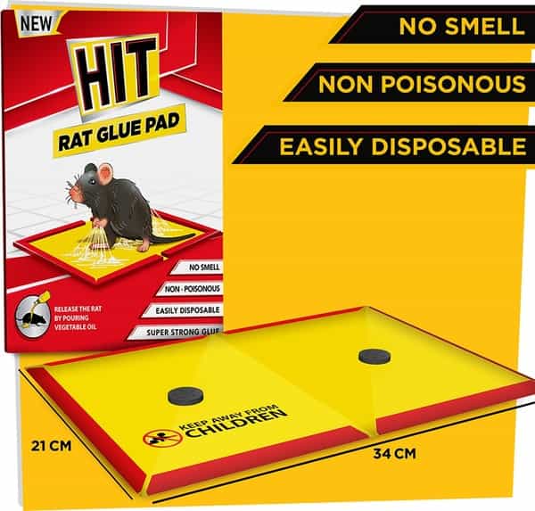 Godrej Hit Rat Glue Pad - Jumbo Pack Of 3