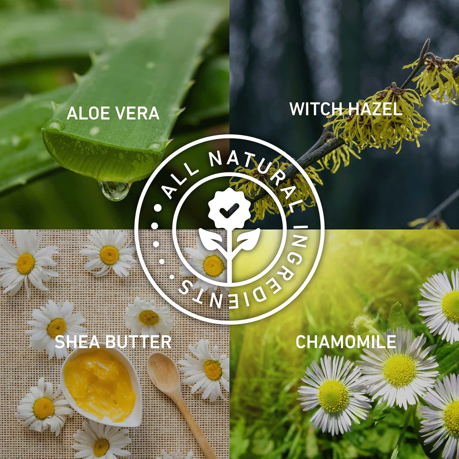 Buy SVISH ON THE GO HAIR REMOVAL SPRAY FOR MEN KIT (200ML) FOR CHEST