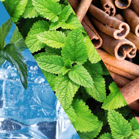 Staycool Breath Freshener Spray - Cool Mint Spearmint Cinnamon - Pack Of 3