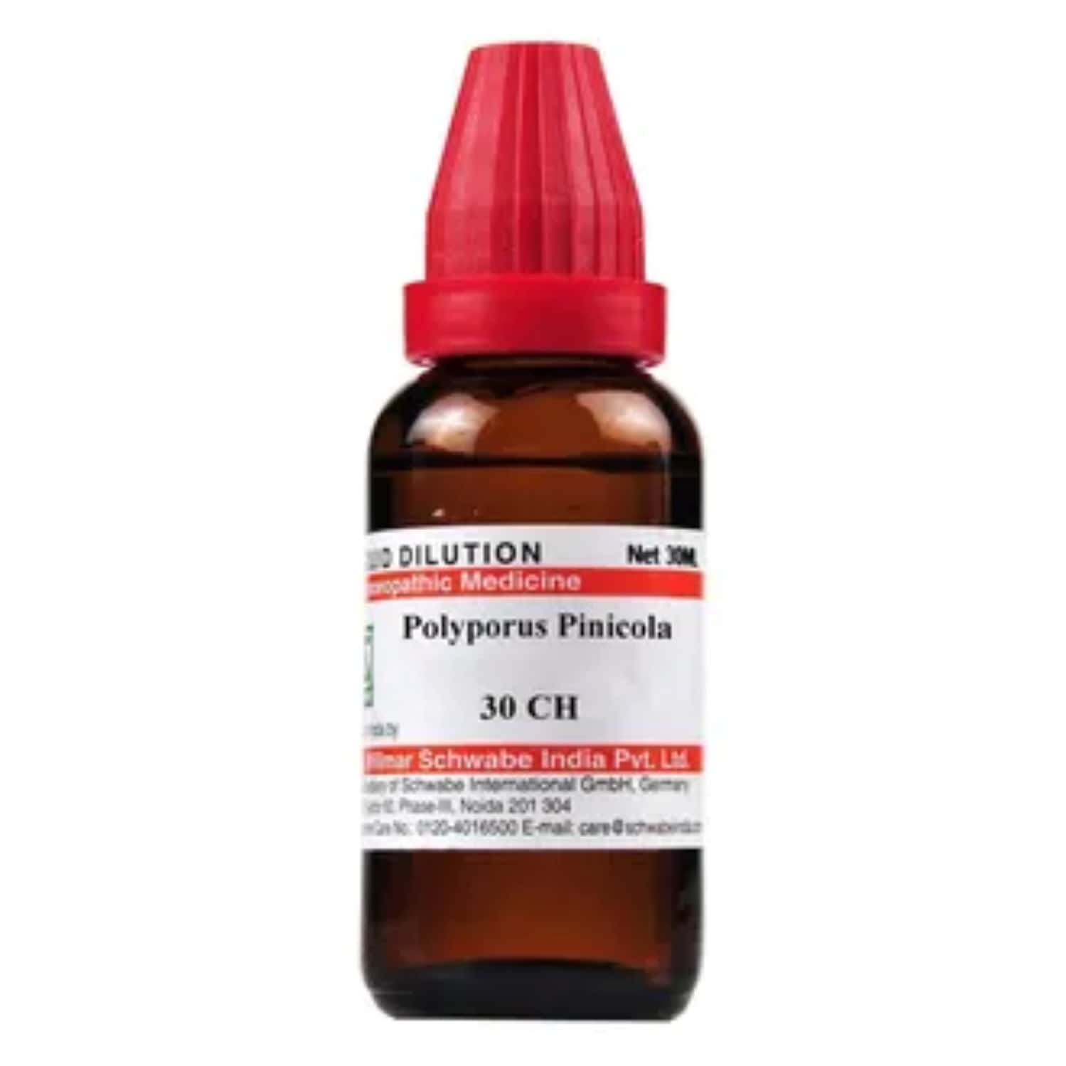 Dr. Willmar Schwabe India Polyporus Pinicola 30ch 30ml