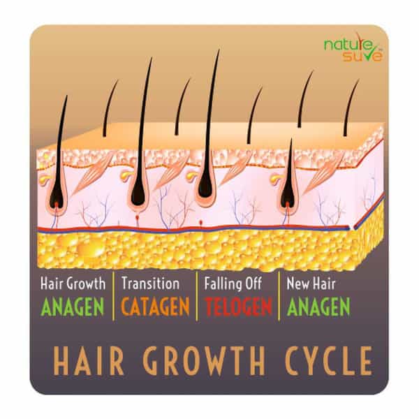 Nature Sure Thumba Wonder Hair Oil For Men And Women - 1 Pack (110Ml)