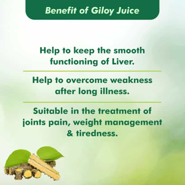 Baidyanath Asli Ayurved Giloy Juice Helps Boost Immunity 500 Ml (Pack Of 2)