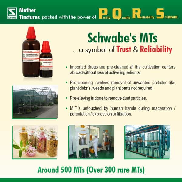 Dr. Willmar Schwabe India Chelidonium Majus Q Liquid 30 Ml Pck Of 3