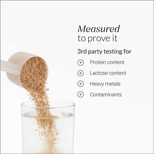 Nutrova Whey Protein Isolate (Dark Chocolate) - Travel Pack