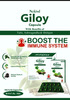 Nukind Giloy Immunity Booster Capsule 10