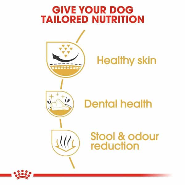 Royal Canin Shih Tzu Adult Dog Food | 3 Kg | Dry Food