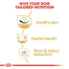 Royal Canin Shih Tzu Adult Dog Food | 3 Kg | Dry Food