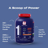 Apex Vitals 1 Whey - Grass-Fed Whey | 27G Protein | Digestive Enzymes Mango Cheesecake - 4Lbs