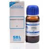 Sbl Berberis Vulgaris Mother Tincture Q 30 Ml Pack Of 2