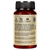 Jiva Pain Calm Tablet 500mg | Natural Pain Reliever - 120 Tablet (Pack Of 2)