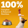Pedigree Adult Wet Dog Food | Chicken & Liver Chunks In Gravy | 70 G (Pack Of 90)