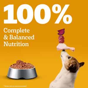 Pedigree Adult Wet Dog Food | Chicken & Liver Chunks In Gravy | 70 G (pack Of 90)