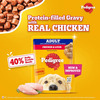 Pedigree Adult Wet Dog Food | Chicken & Liver Chunks In Gravy | 70 G (Pack Of 90)