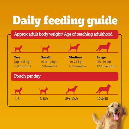 Pedigree Adult Wet Dog Food | Chicken & Liver Chunks In Gravy | 70 G (Pack Of 90)