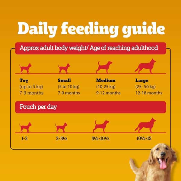 Pedigree Adult Wet Dog Food | Chicken & Liver Chunks In Gravy | 70 G (Pack Of 90)