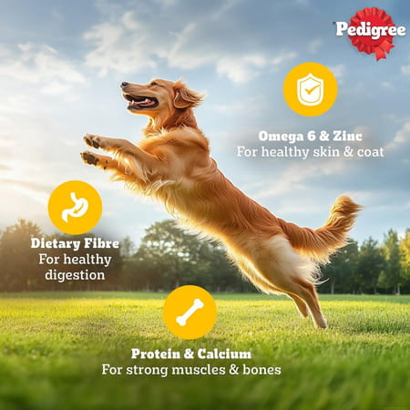 Pedigree Adult Wet Dog Food | Chicken & Liver Chunks In Gravy | 70 G (Pack Of 90)