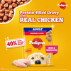 Pedigree Adult Wet Dog Food | Chicken & Liver Chunks In Gravy | 70 G (Pack Of 90)
