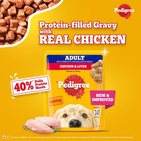Pedigree Adult Wet Dog Food | Chicken & Liver Chunks In Gravy | 70 G (Pack Of 90)