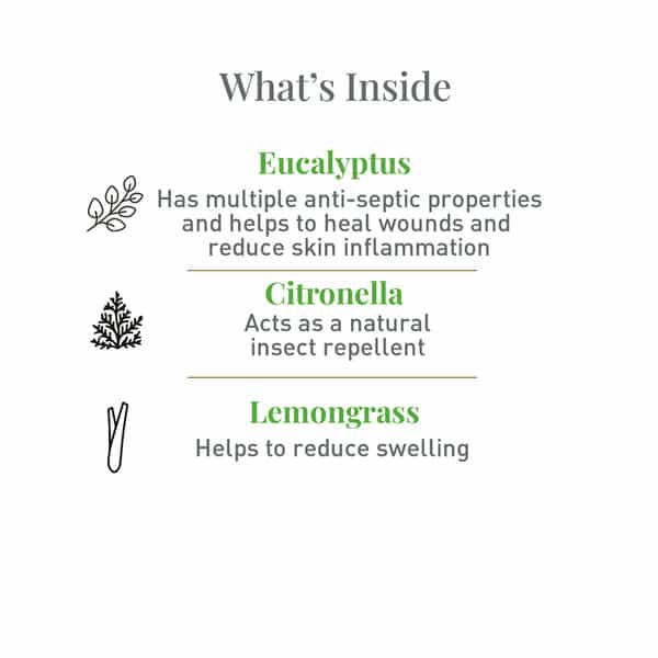 Natural Mosquito Repellent Spray