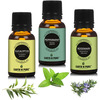 Earth N Pure Eucalyptus Peppermint & Rosemary Essential Oils | Pack Of 3 | 100% Pure (15 Ml)