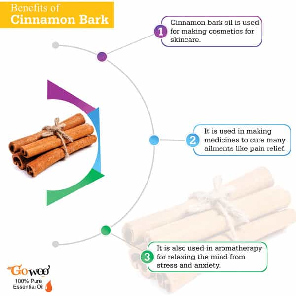 Go Woo 100% Pure Cinnamon Bark Oil Virgin & Undiluted 30 Ml