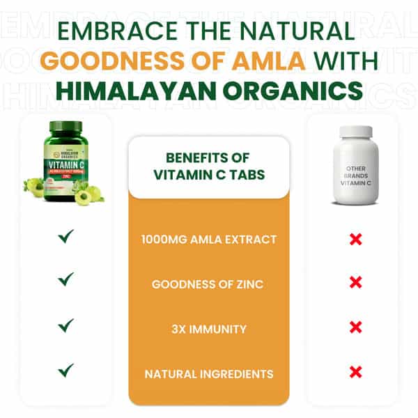 Vlado's Himalayan Organics Vitamin C 1000Mg Tablets From Amla Extracts - 120 Veg Tablets