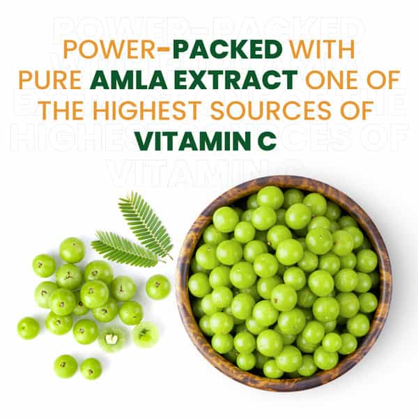 Vlado's Himalayan Organics Vitamin C 1000Mg Tablets From Amla Extracts - 120 Veg Tablets