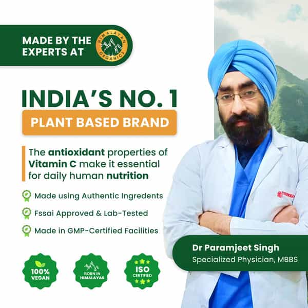 Vlado's Himalayan Organics Vitamin C 1000Mg Tablets From Amla Extracts - 120 Veg Tablets
