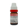 Dr. Reckeweg Rosmarinus Officinalis 30 Ch (11Ml)