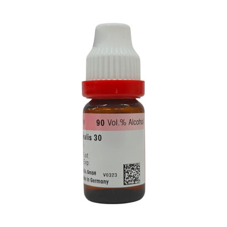 Dr. Reckeweg Rosmarinus Officinalis 30 Ch (11ml)