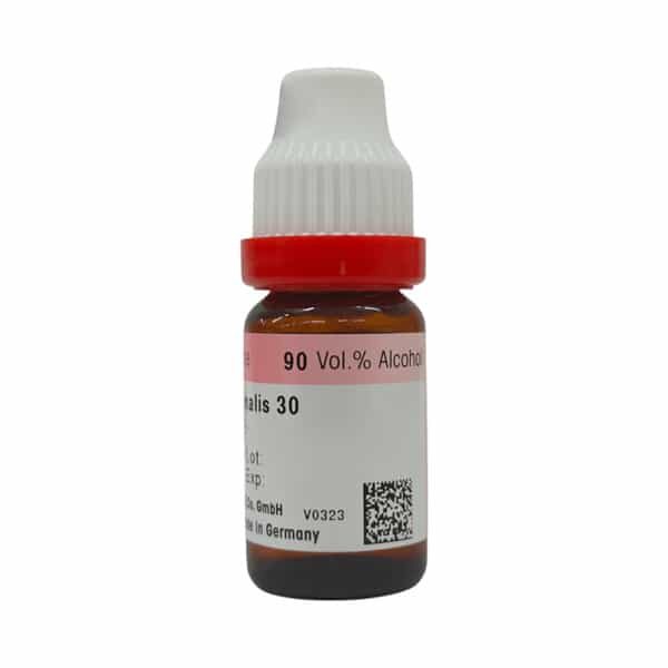 Dr. Reckeweg Rosmarinus Officinalis 30 Ch (11Ml)