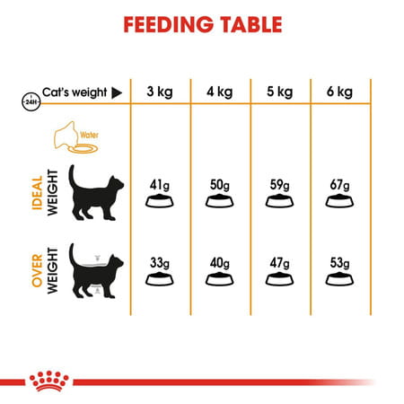 Royal Canin Dry Cat Food Persian Adult - 400g
