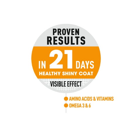 Royal Canin Dry Cat Food Persian Adult - 400g