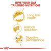 Royal Canin Dry Cat Food Persian Adult - 400G