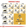 Royal Canin Dry Cat Food Persian Adult - 400G