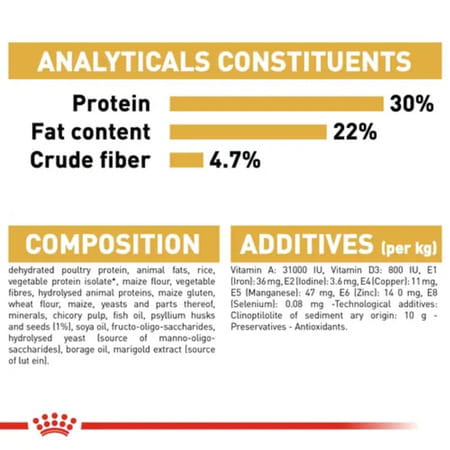 Royal Canin Dry Cat Food Persian Adult - 400G