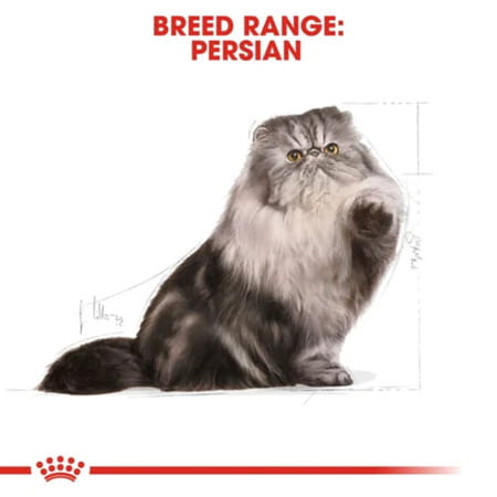 Royal Canin Dry Cat Food Persian Adult - 400G