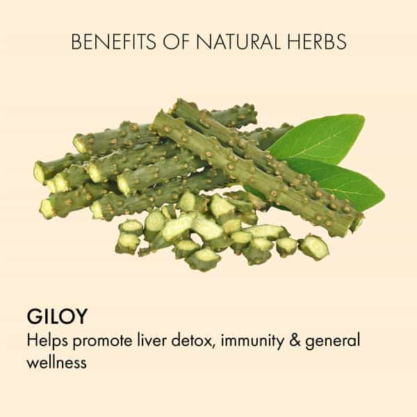 Dr. Vaidya's Giloy Ras Juice -950Ml Pack Of 3