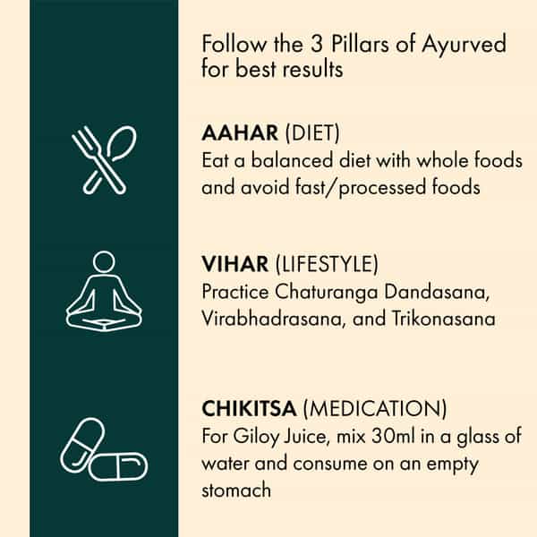 Dr. Vaidya's Giloy Ras Juice -950Ml Pack Of 3